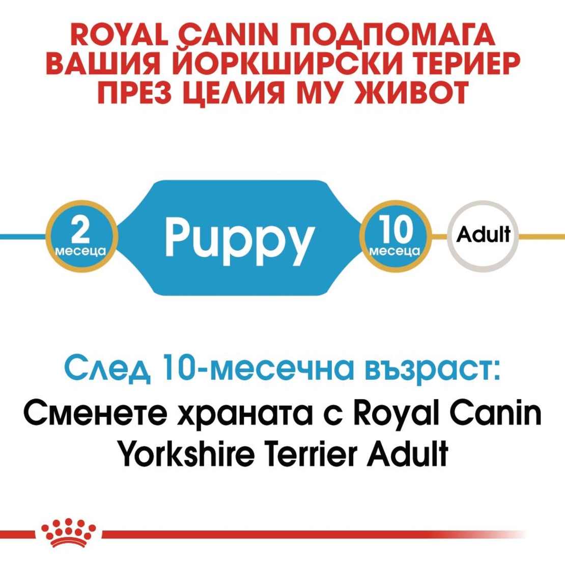 ROYAL CANIN® BHN YORKSHIRE PUPPY - за подрастващи кучета порода йоркширски териер - до 10 месеца
