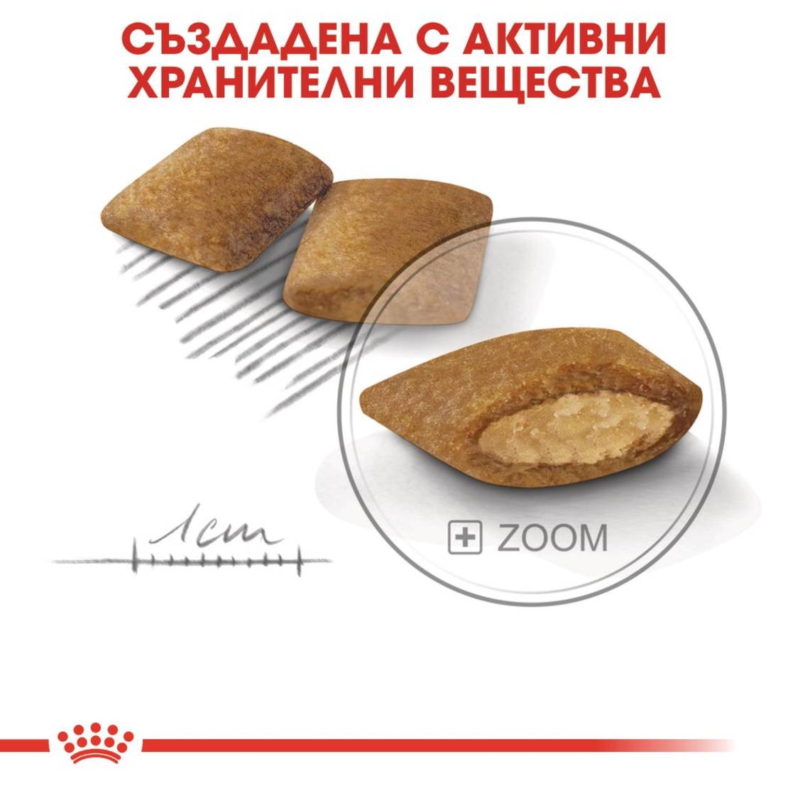 ROYAL CANIN® CCN MINI EXIGENT за кучета в зряла и напреднала възраст от дребни породи (от 1 до 10 кг) - над 10 месеца - кучета с капризен апетит