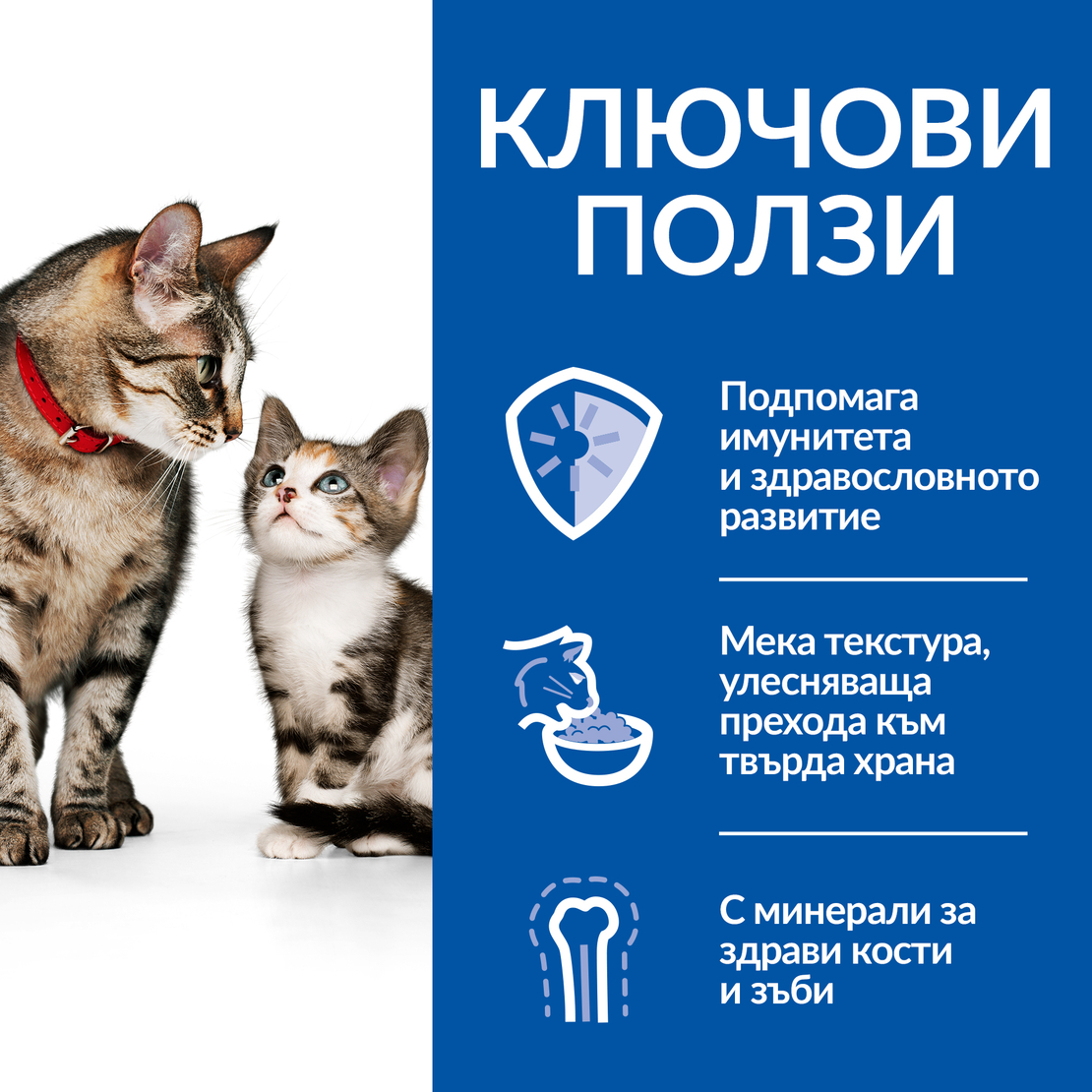 Hill's Science Plan Kitten & Mother Mousse Chicken and Turkey - Пълноценна и балансирана храна с гладка текстура за за котенца от отбиването до 1 година и бременни или кърмещи котки, фин мус с пилешко и пуешко, консерва