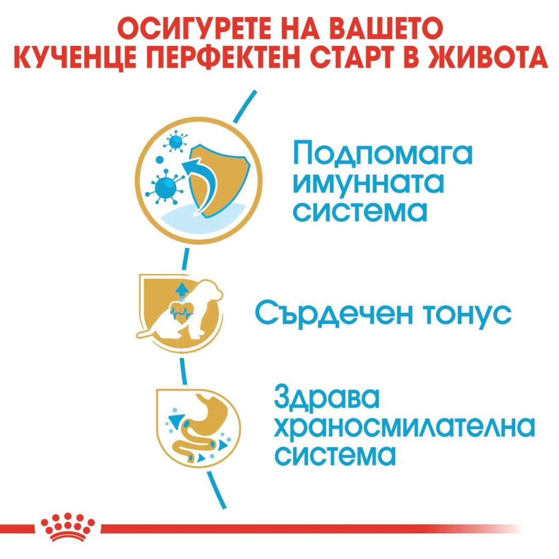 ROYAL CANIN® BHN CAVALIER KING CHARLES SPANIEL PUPPY за подрастващи кучета порода кавалер кинг чарлз шпаньол – до 12 месеца