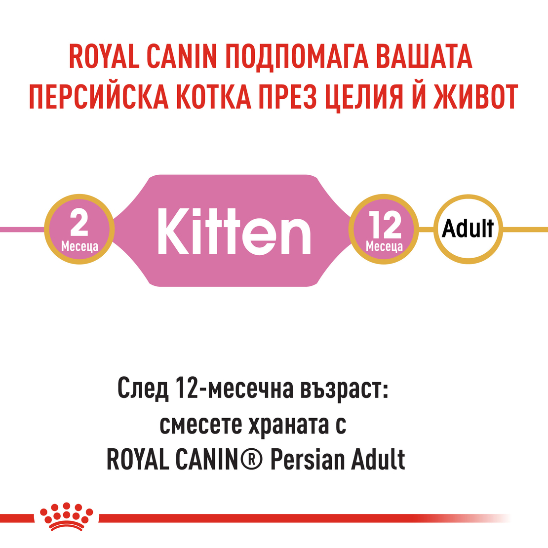 ROYAL CANIN® FBN PERSIAN KITTEN за подрастващи персийски котки (до 12 месеца)