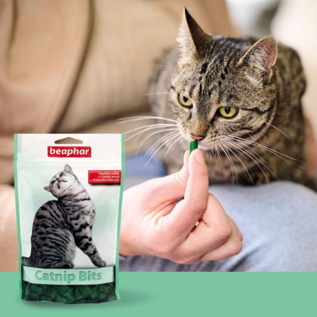 Beaphar Catnip Bits - хапки за котки с котешка трева 35 гр