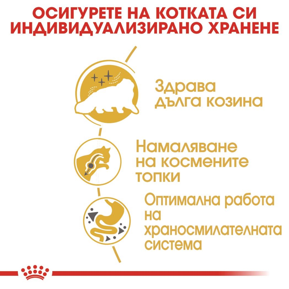 ROYAL CANIN® FBN PERSIAN ADULT за персийски котки в зряла възраст - над 12 месеца