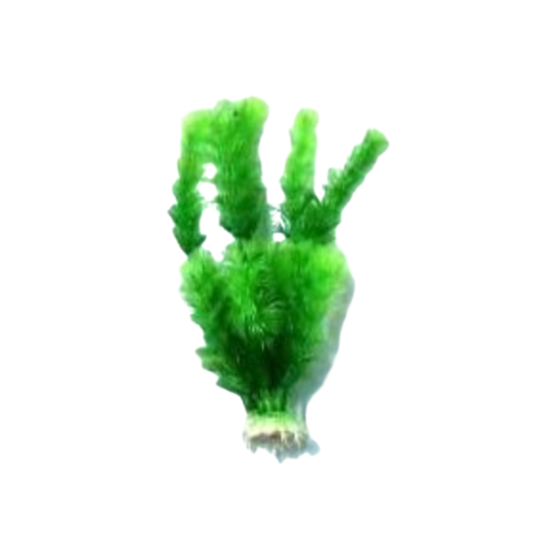 Изкуствено растение за аквариум – 21 см