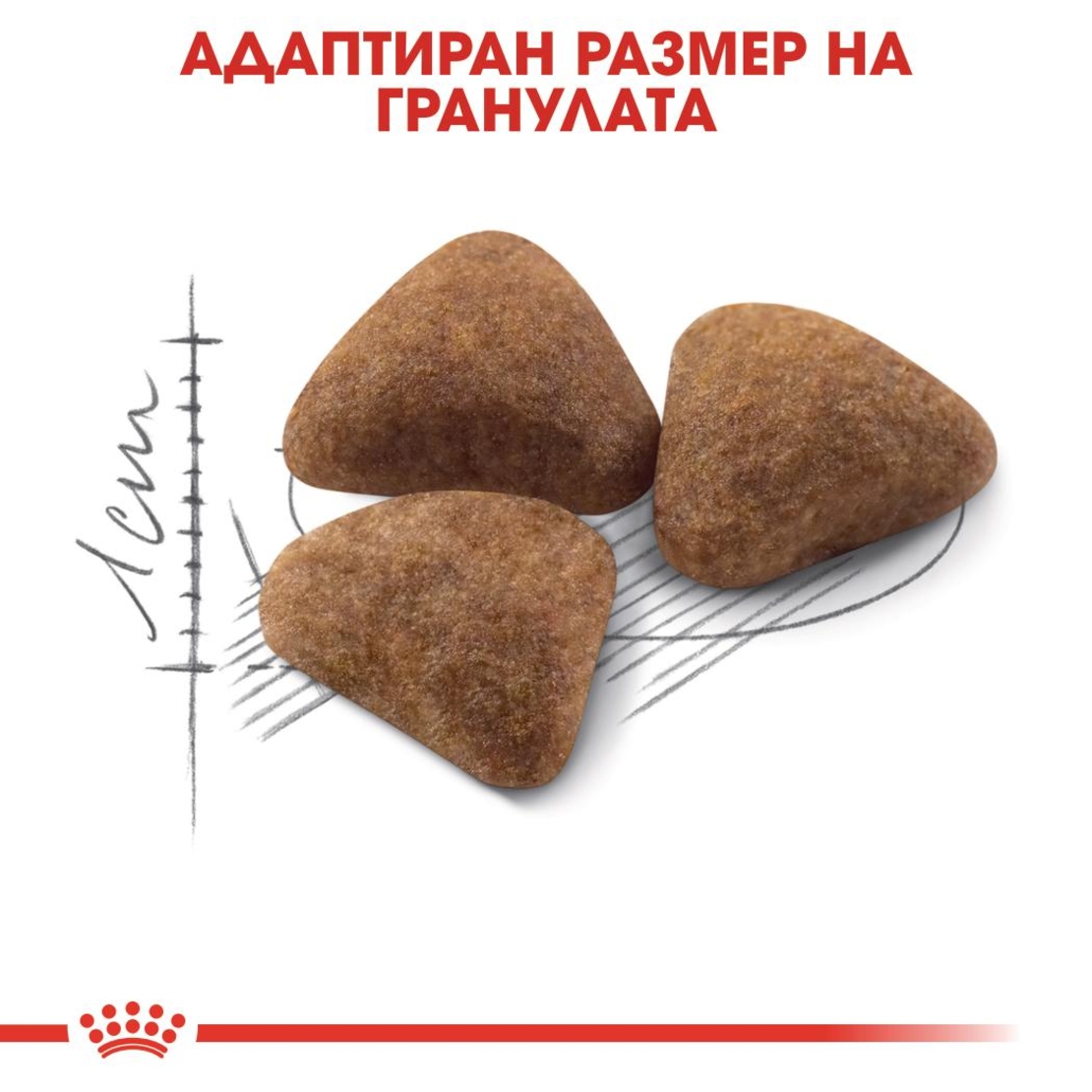 ROYAL CANIN® FHN INDOOR за котки в зряла възраст от 1 до 7 години, живеещи на закрито