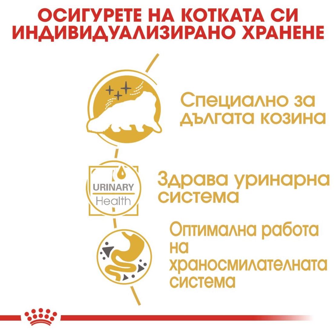 ROYAL CANIN® FBN PERSIAN за персийски котки в зряла възраст - над 12 месеца (пастет)