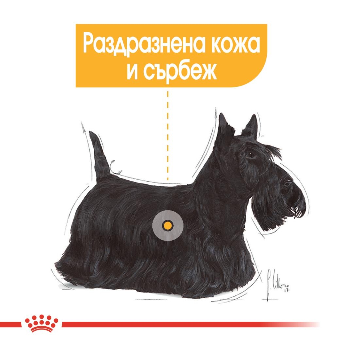 ROYAL CANIN® CCN DERMACOMFORT за кучета в зряла възраст над 10 месеца - кучета предразположени към кожни раздразнения и сърбеж