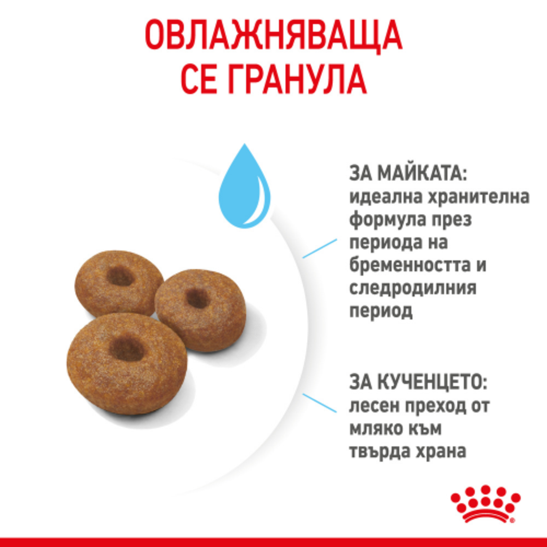 ROYAL CANIN® SHN MAXI STARTER MOTHER & BABYDOG за женски кучета от едри породи (от 26 до 44 кг) и нейните подрастващи : женско куче в края на бременността и по време на кърмене - кученца в период на отбиване на възраст до 2 месеца