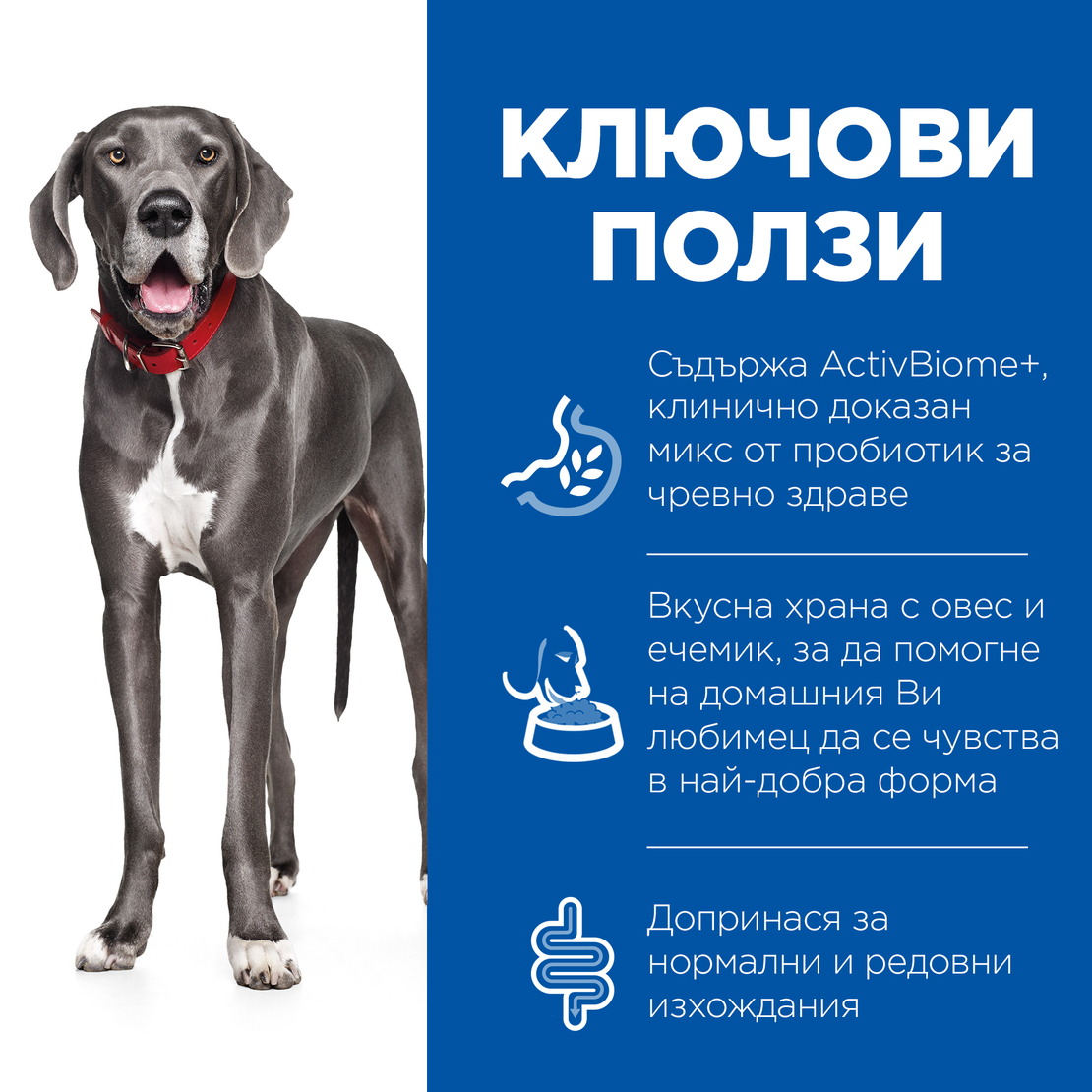 Hill's Science Plan Perfect Digestion Large Adult Dog 1+ с пилешко и кафяв ориз – Пълноценна храна за кучета от едри породи (над 25 кг) от 1 до 6г., с ActivBiome+ за отлично храносмилане и здравословен чревен микробиом