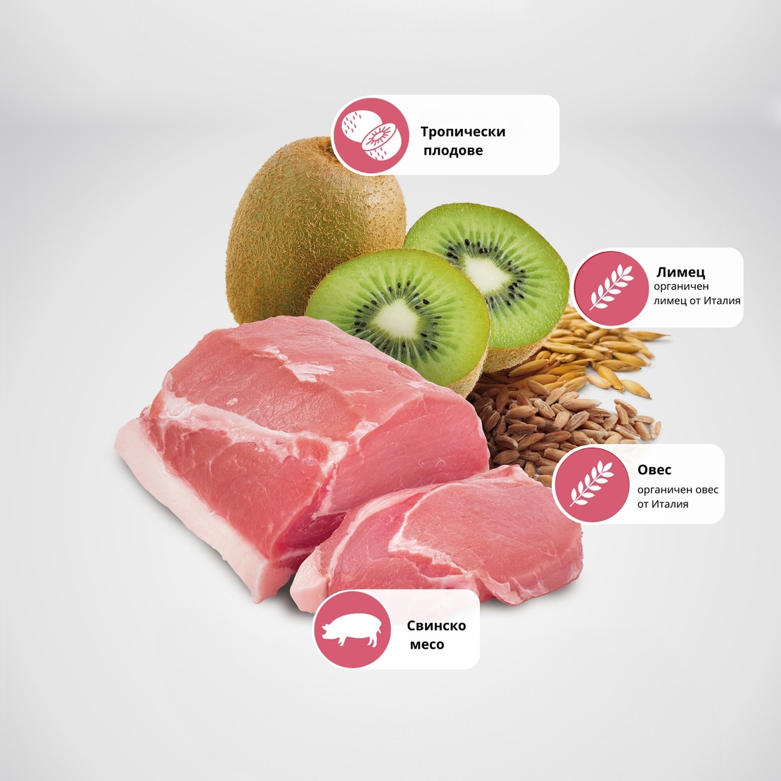 N&D Tropical Selection Dog Adult Medium & Maxi Pork and Tropical fruits – суха храна за кучета над 1 година от средни и едри породи, със свинско, спелта, овес и тропически плодове