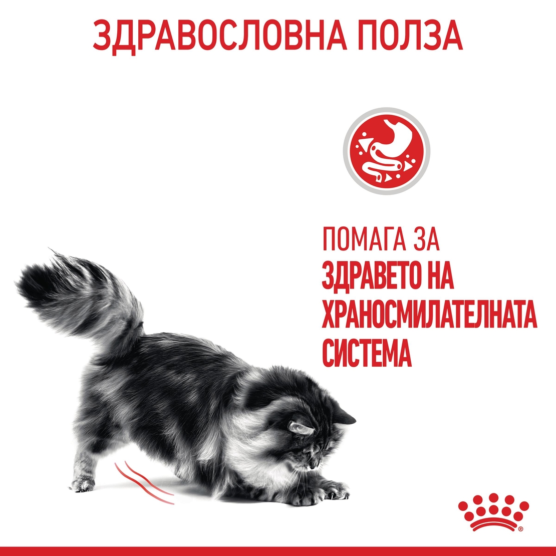 ROYAL CANIN® FCN CARE DIGESTIVE CAT за котки в зряла възраст