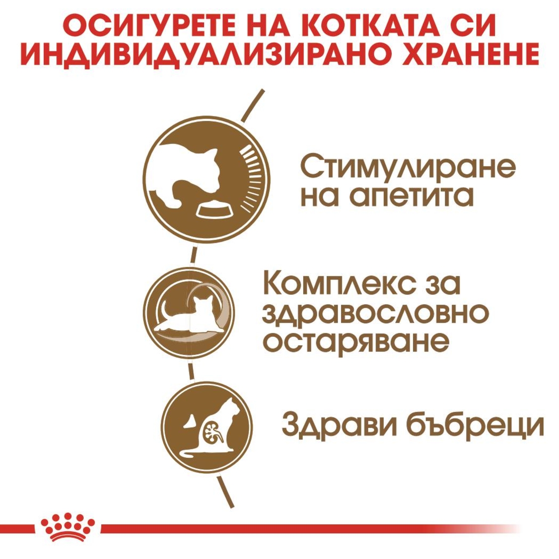 ROYAL CANIN® FHN AGEING 12+ за котки в напреднала възраст над 12 години