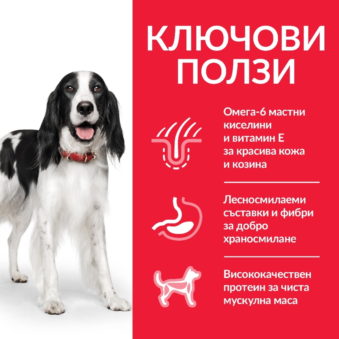 Hill's Science Plan Medium Adult с пилешко – Пълноценна храна за кучета от средни породи 10-25 кг, с умерени енергийни нужди, 1 - 6 г.