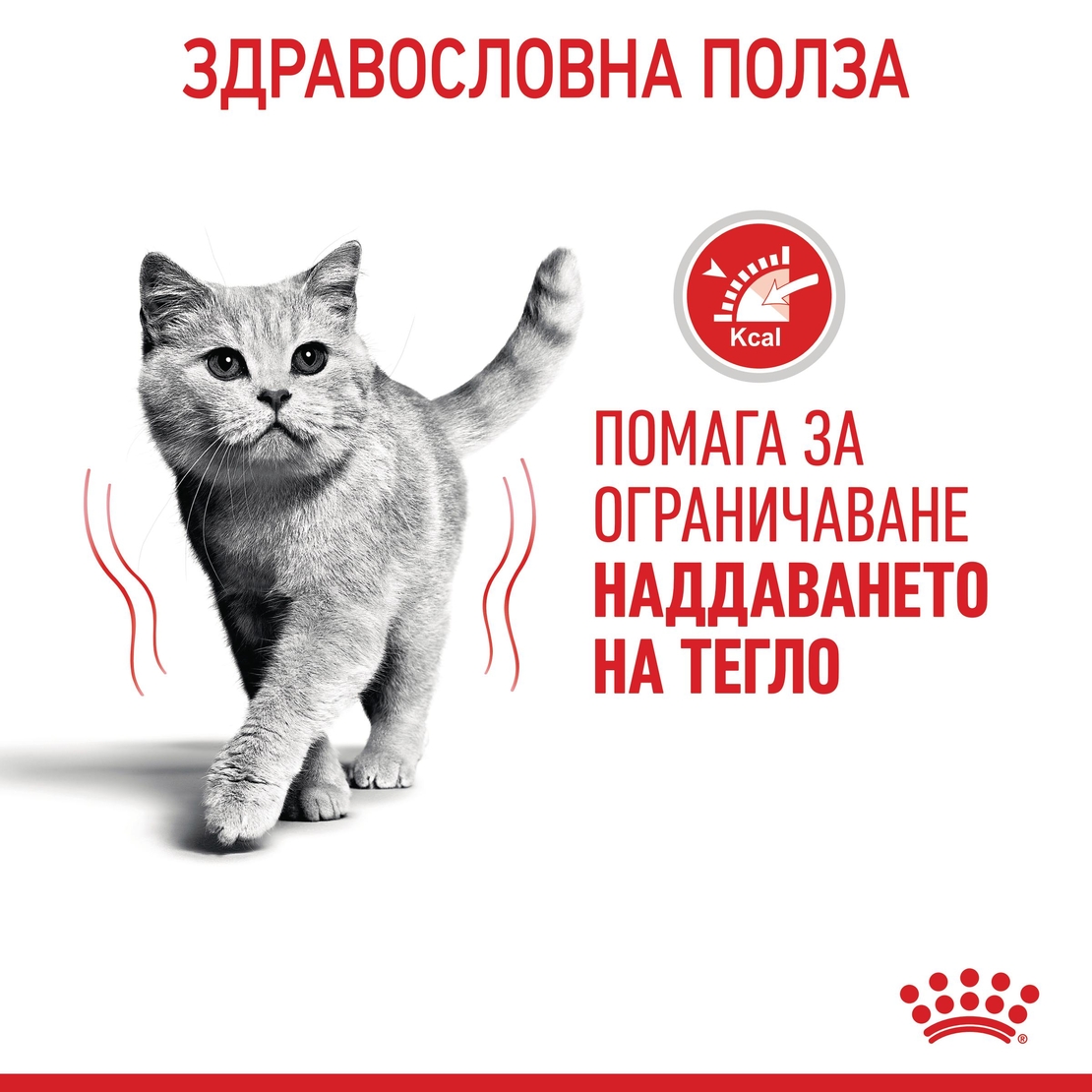 ROYAL CANIN® FCN LIGHT WEIGHT CARE CAT за котки в зряла възраст