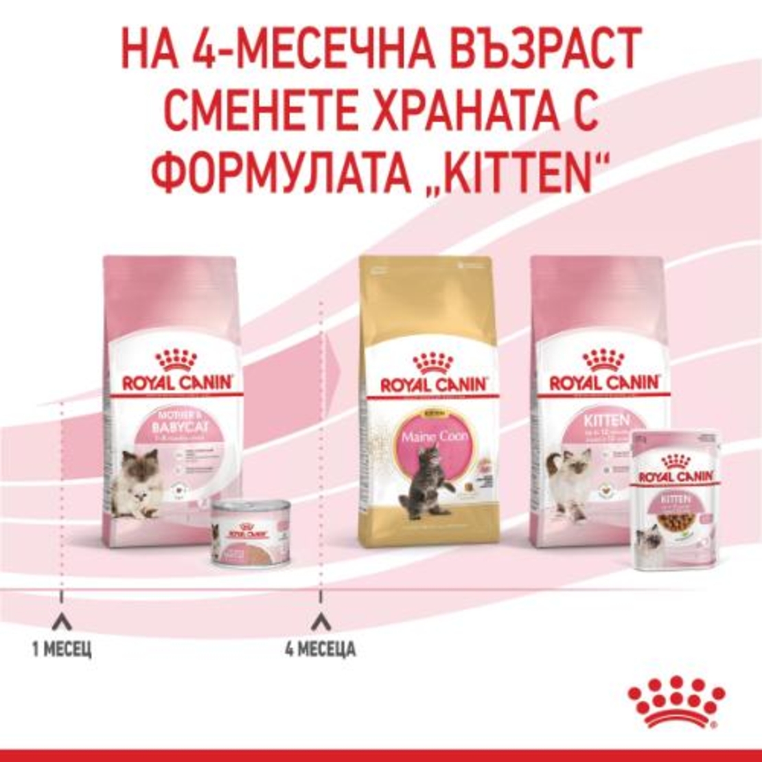 ROYAL CANIN® FHN MOTHER & BABYCAT за женски котки и техните подрастващи котенца – за котки през периода на бременността и кърмене – 1-ви етап на растеж на котенцата (от 1 до 4 месеца) до периода на отбиване