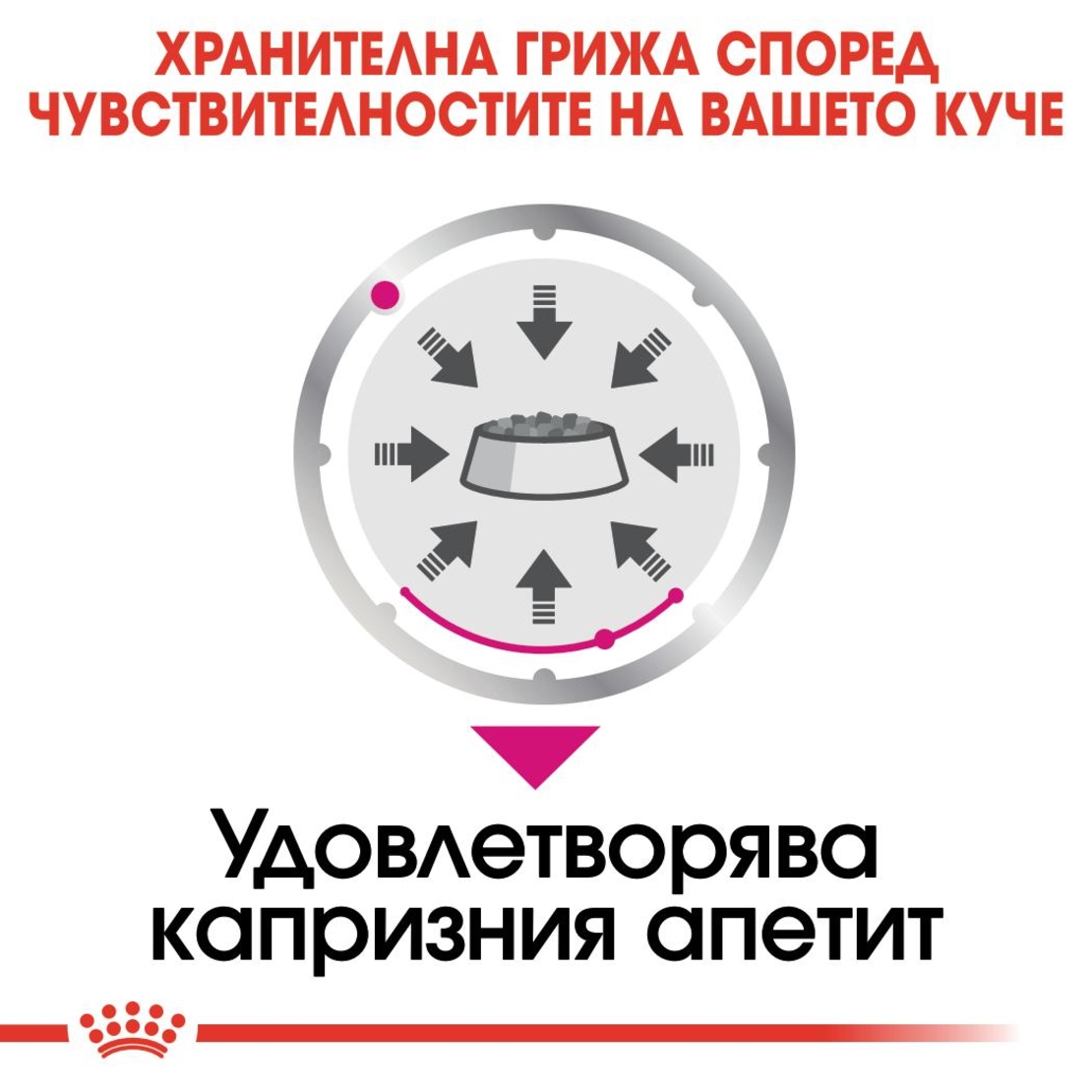 ROYAL CANIN® CCN EXIGENT за кучета в зряла възраст над 10 месеца – кучета с капризен апетит