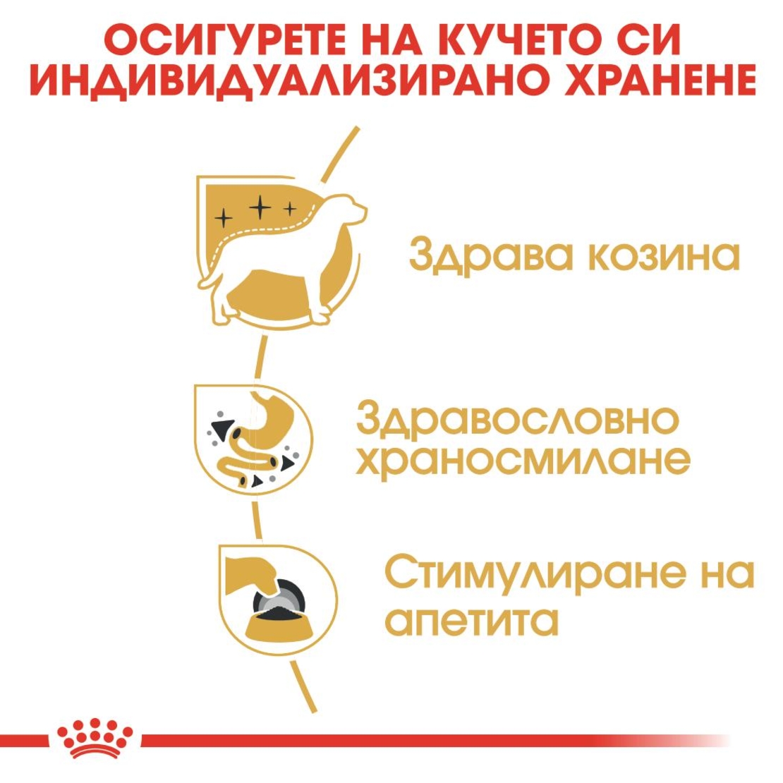 ROYAL CANIN® BHN CHIHUAHUA за кучета в зряла и напреднала възраст порода чихуахуа - над 8 месеца (пастет)