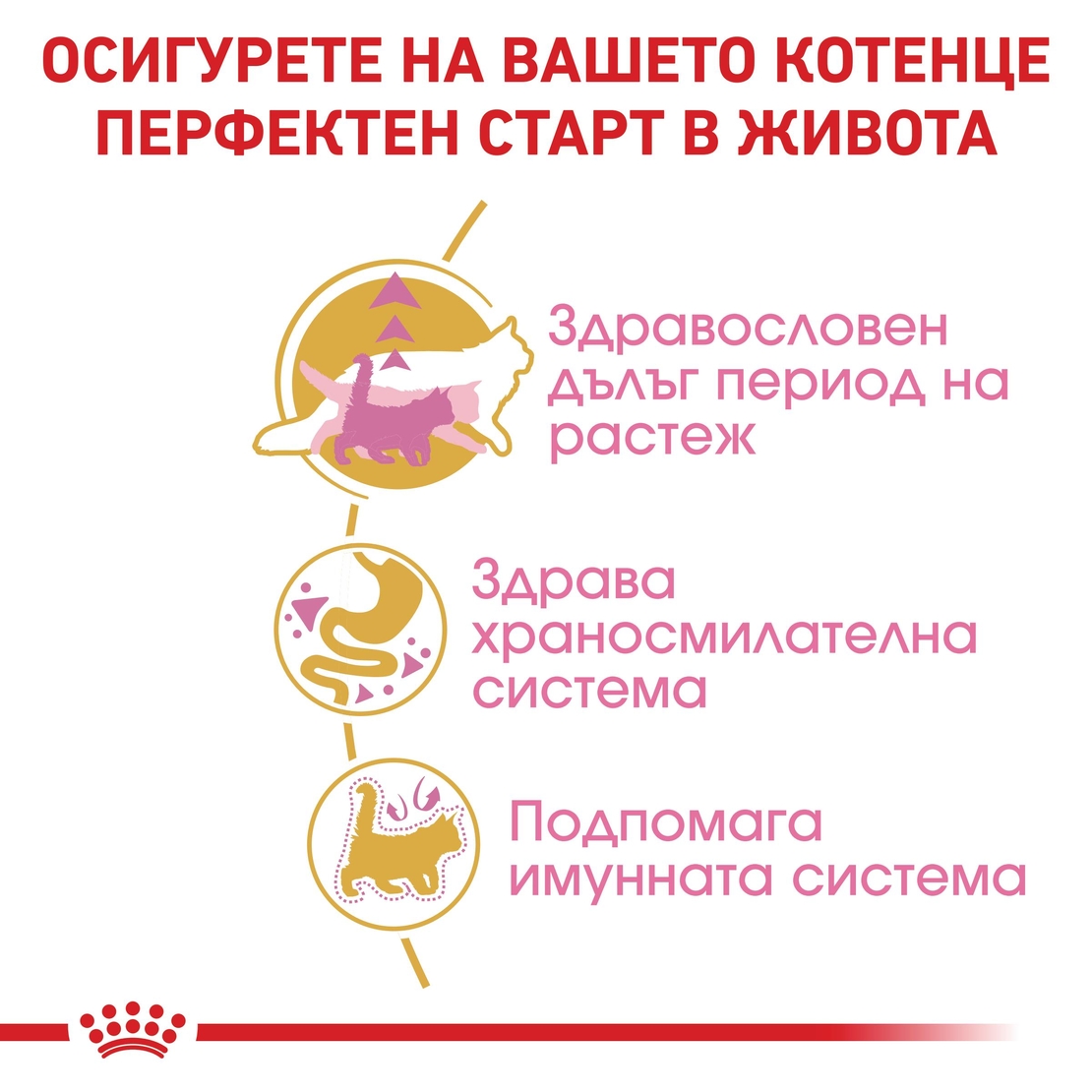 ROYAL CANIN® FBN MAINE COON KITTEN за подрастващи котенца от порода мейн куун (до 15 месеца)