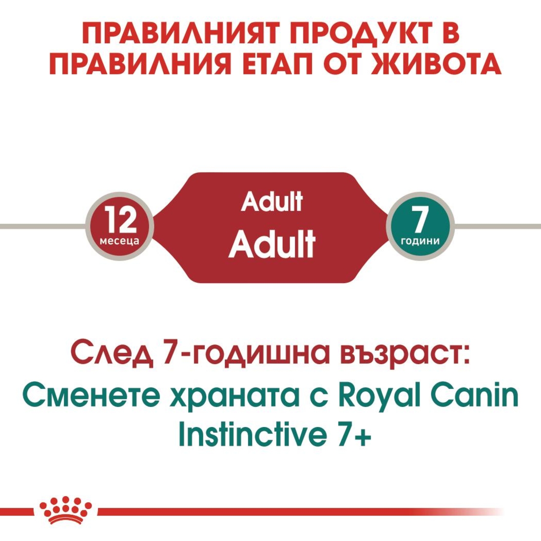 ROYAL CANIN® FHN INSTINCTIVE за котки в зряла възраст на 12 месеца (малки хапки в сос)