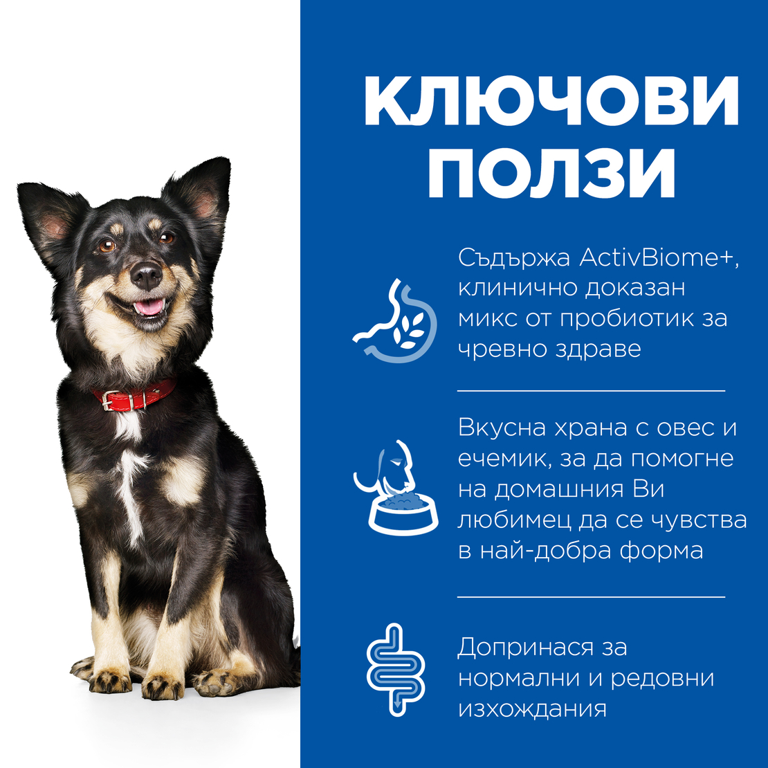 Hill's Science Plan Perfect Digestion Small&Mini Adult Dog 1+ с пилешко и кафяв ориз – Пълноценна суха храна за кучета от малки и мини породи (до 10кг) от 1 до 6г., с ActivBiome+ за отлично храносмилане и здравословен чревен микробиом