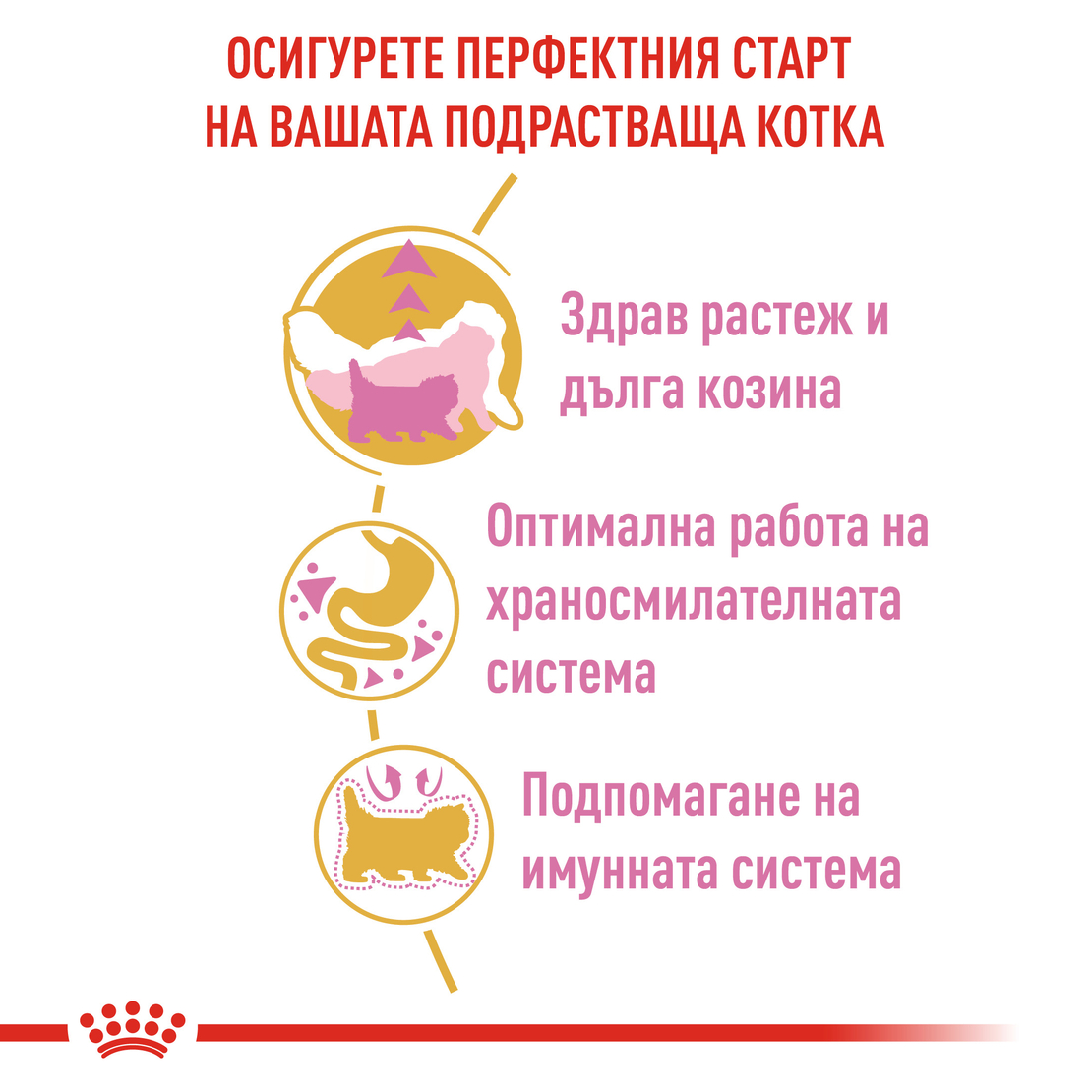 ROYAL CANIN® FBN PERSIAN KITTEN за подрастващи персийски котки (до 12 месеца)
