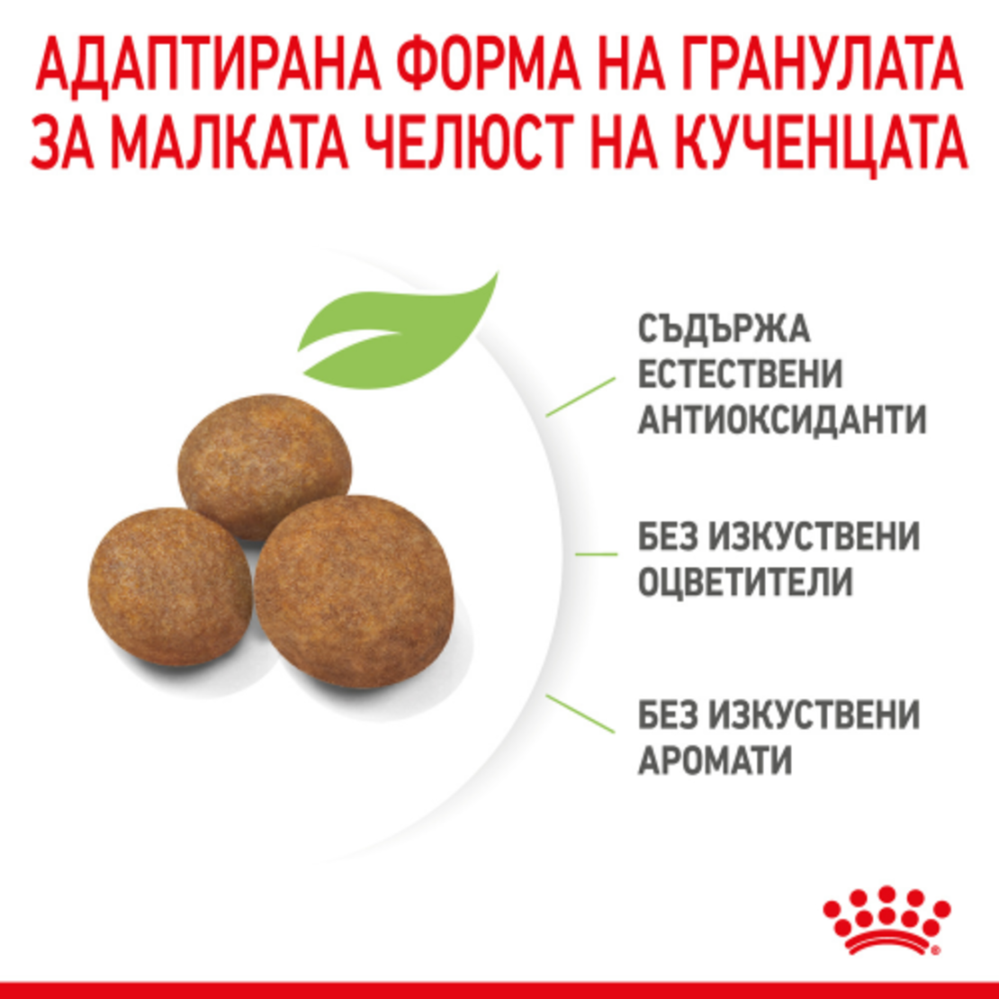 ROYAL CANIN® SHN MAXI PUPPY за подрастващи кучета от едри породи (тегло в зряла възраст от 26 до 44 кг) - до 15 месеца