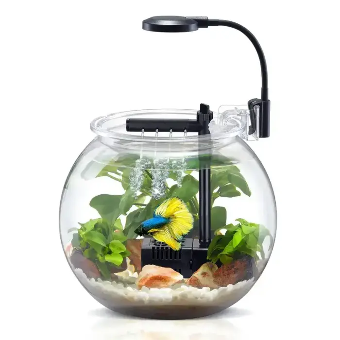 Аквариум Колба 5 литра