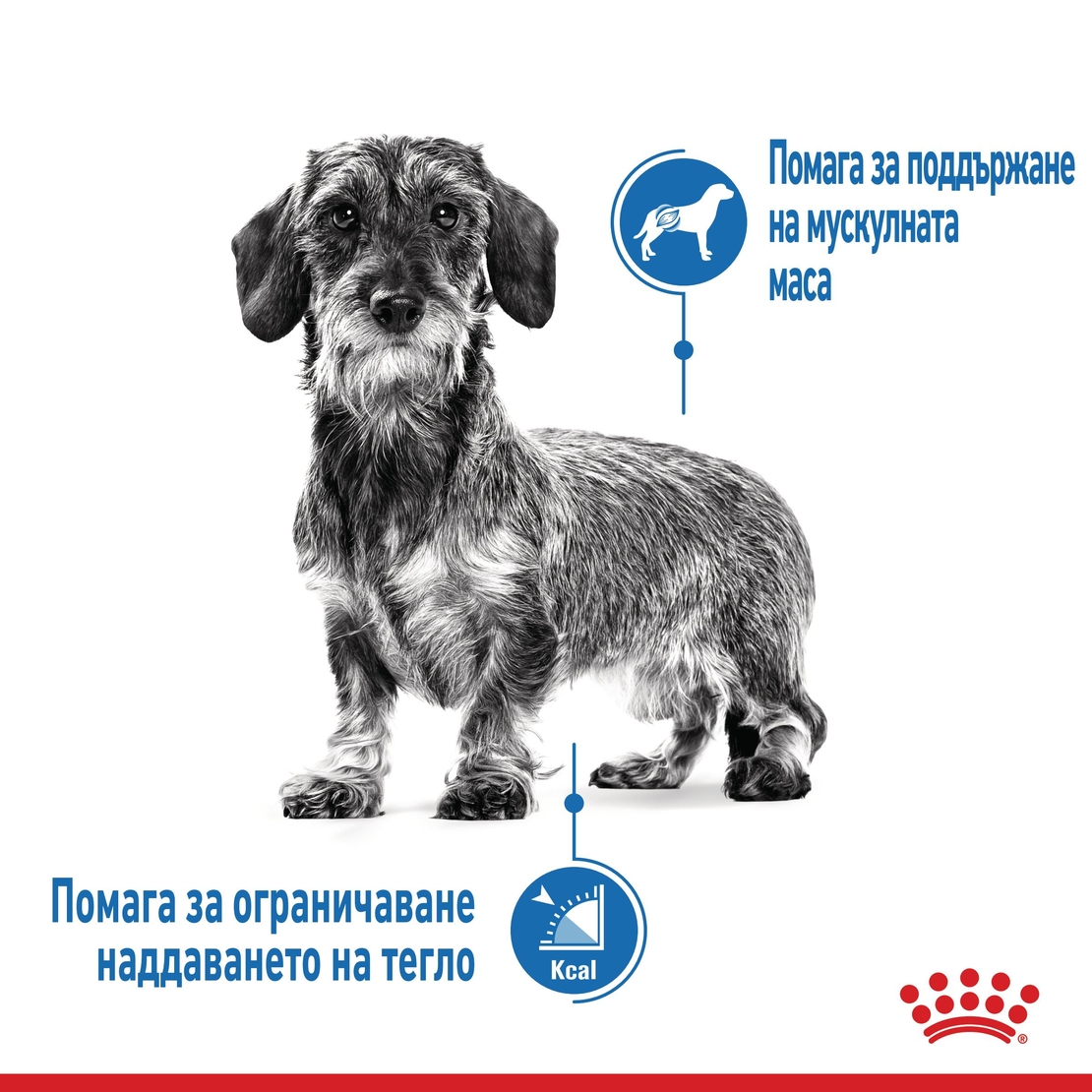 ROYAL CANIN® CCN MINI LIGHT WEIGHT CARE за кучета в зряла и напреднала възраст от дребни породи (от 1 до 10кг) - над 10 месеца - кучета със склонност към натрупване на наднормено тегло