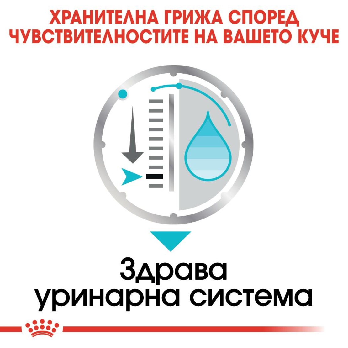 ROYAL CANIN® CCN URINARY CARE за кучета в зряла възраст над 10 месеца - с предразположеност към уринарна чувствителност