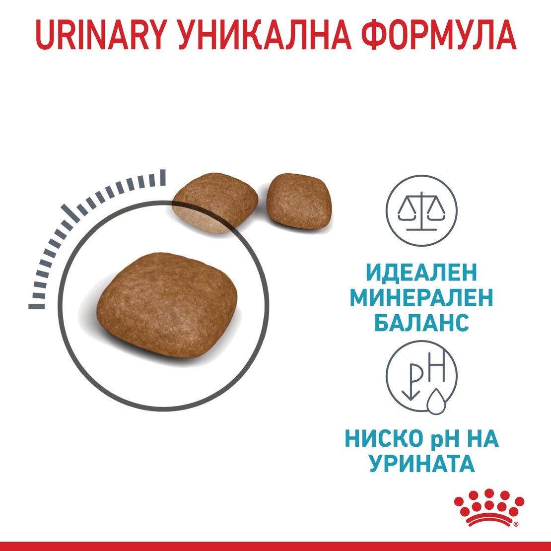 ROYAL CANIN® FCN URINARY CARE CAT за котки в зряла възраст