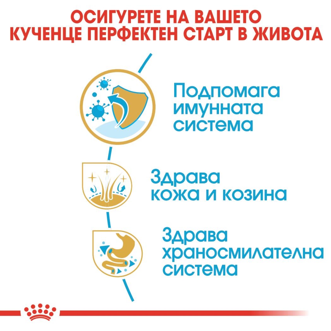 ROYAL CANIN® BHN SHIH TZU PUPPY - за подрастващи кучета порода ши цу над 10 месеца