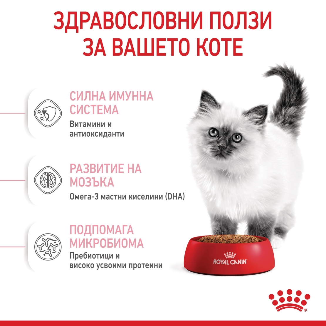 ROYAL CANIN® FHN KITTEN за подрастващи котенца до 12 месеца