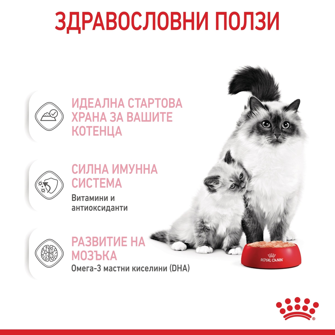 ROYAL CANIN® FHN MOTHER & BABYCAT мек мус 195г за бременни и кърмещи котки и техните подрастващи котенца (от 1 до 4 месеца) през периода на отбиване
