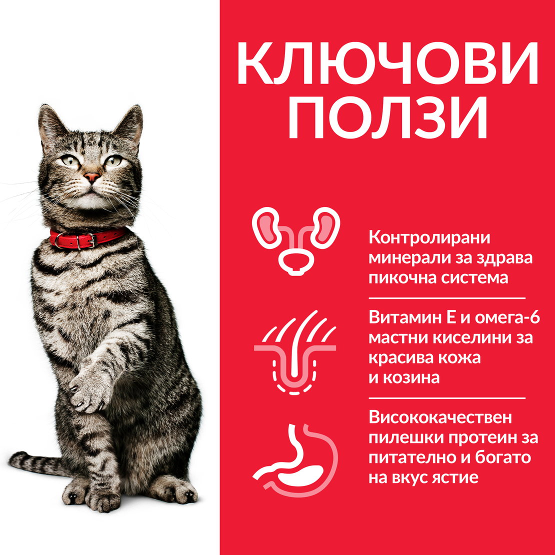 Hill's Science Plan Feline Adult Urinary Health Chicken - Пълноценна суха храна за котки над 1 година за профилактика и поддържане на уринарния тракт при котки в добро здравословно състояние, с пилешко