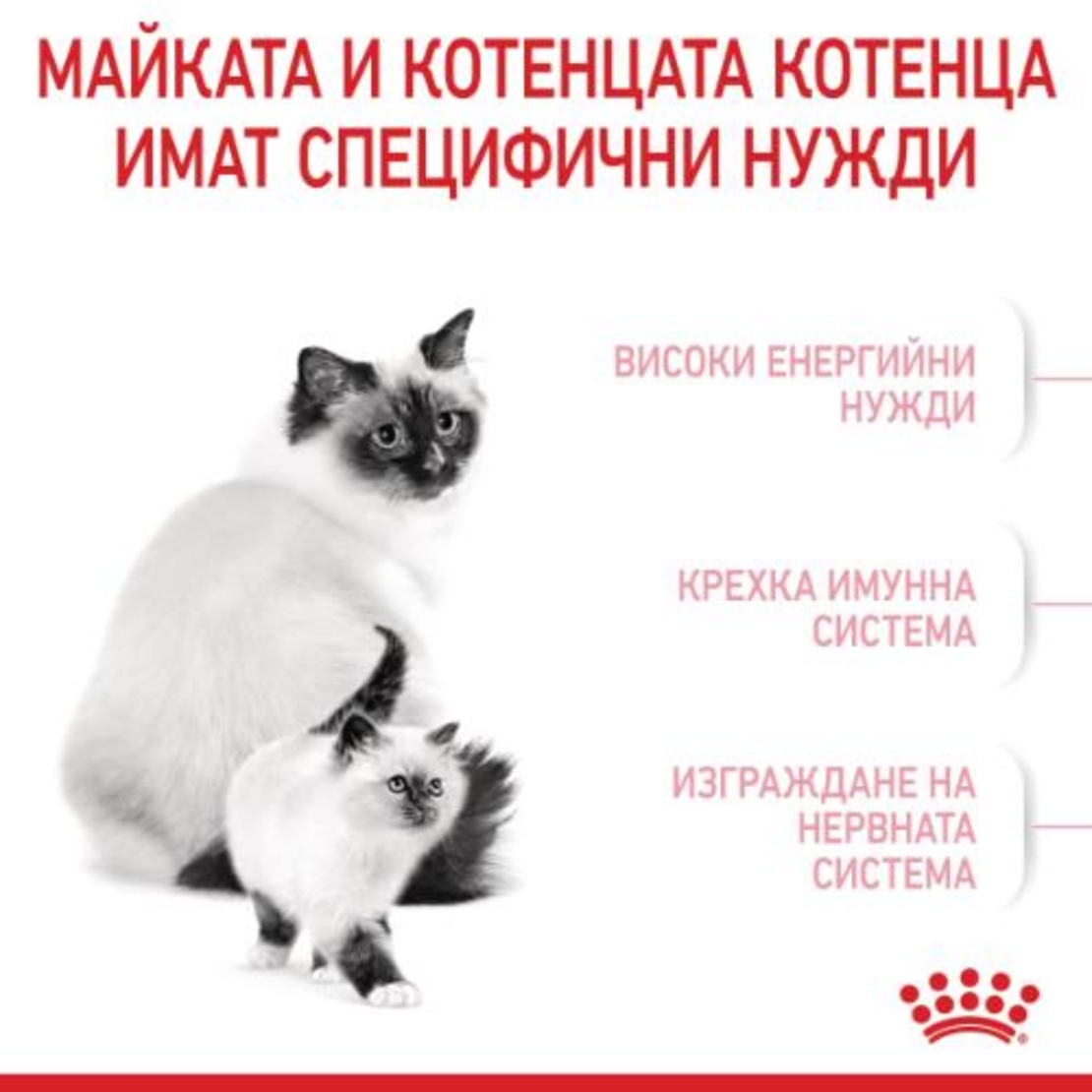 ROYAL CANIN® FHN MOTHER & BABYCAT за женски котки и техните подрастващи котенца – за котки през периода на бременността и кърмене – 1-ви етап на растеж на котенцата (от 1 до 4 месеца) до периода на отбиване