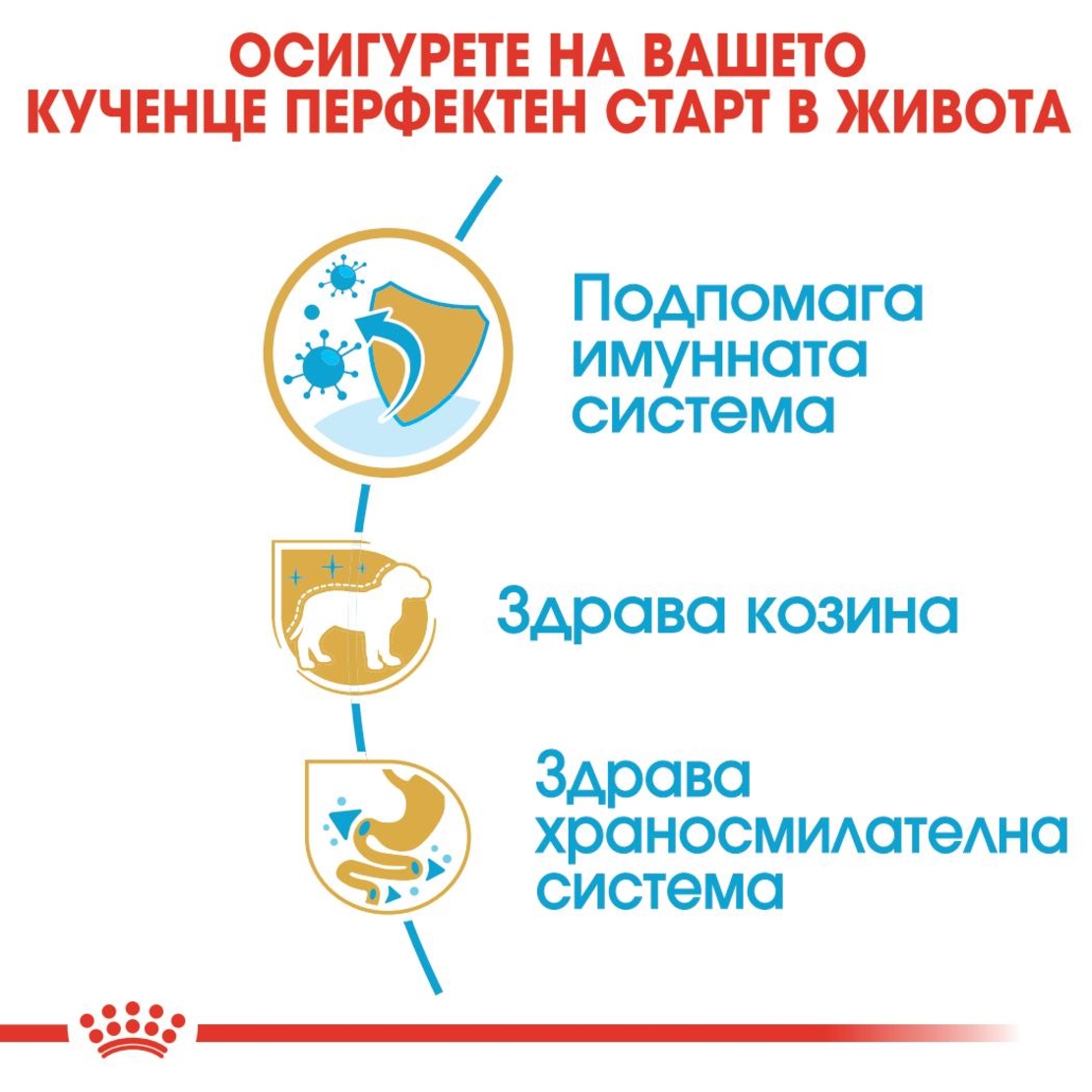 ROYAL CANIN® BHN POODLE PUPPY за подрастващи кучета порода пудел - до 10 месеца
