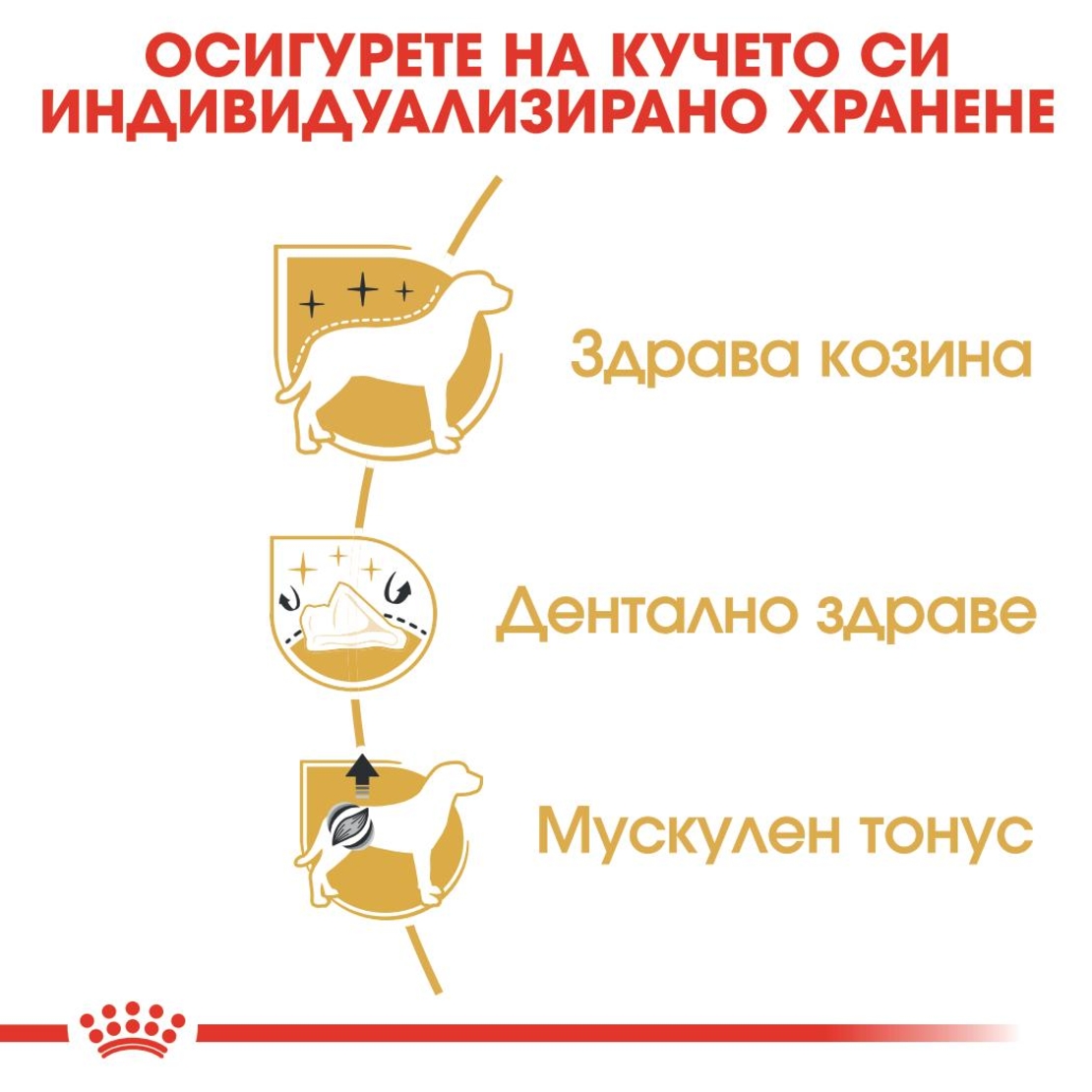 ROYAL CANIN® BHN POODLE - за кучета порода пудел над 10 месечна възраст 1.5 кг.