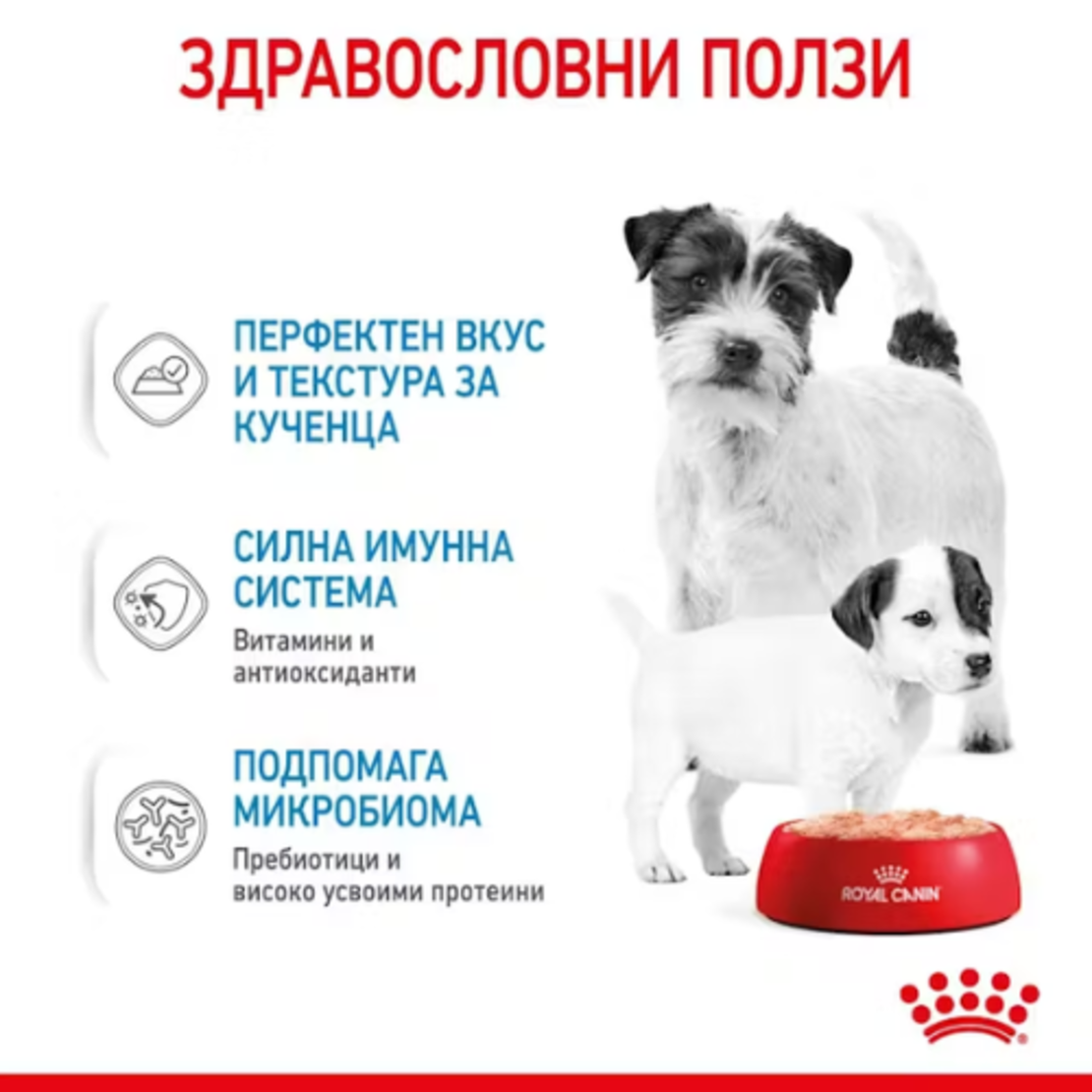 ROYAL CANIN® SHN STARTER MOTHER & BABYDOG мек мус за бременни и кърмещи кучета и техните малки кученца (от отбиването до 2-месечна възраст)