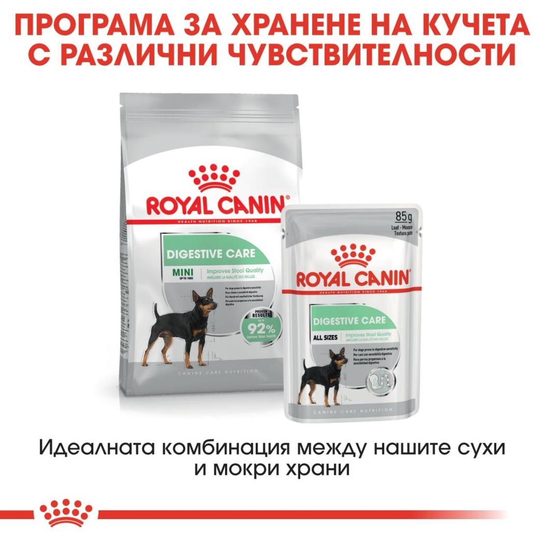 ROYAL CANIN® CCN DIGESTIVE CARE за кучета в зряла възраст над 10 месеца с чувствителна храносмилателна система (пастет)