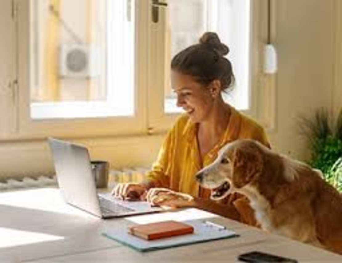 SOS СЪВЕТНИК!