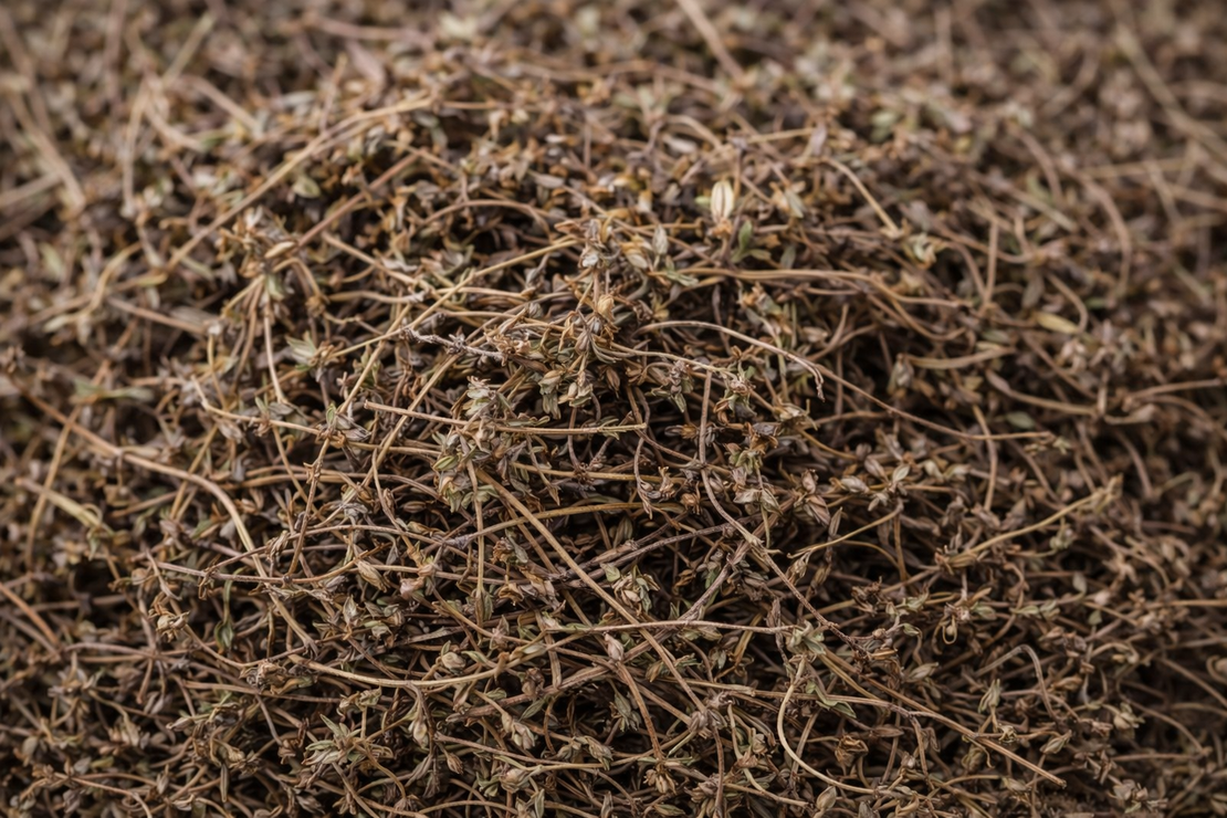 Мащерка сушена