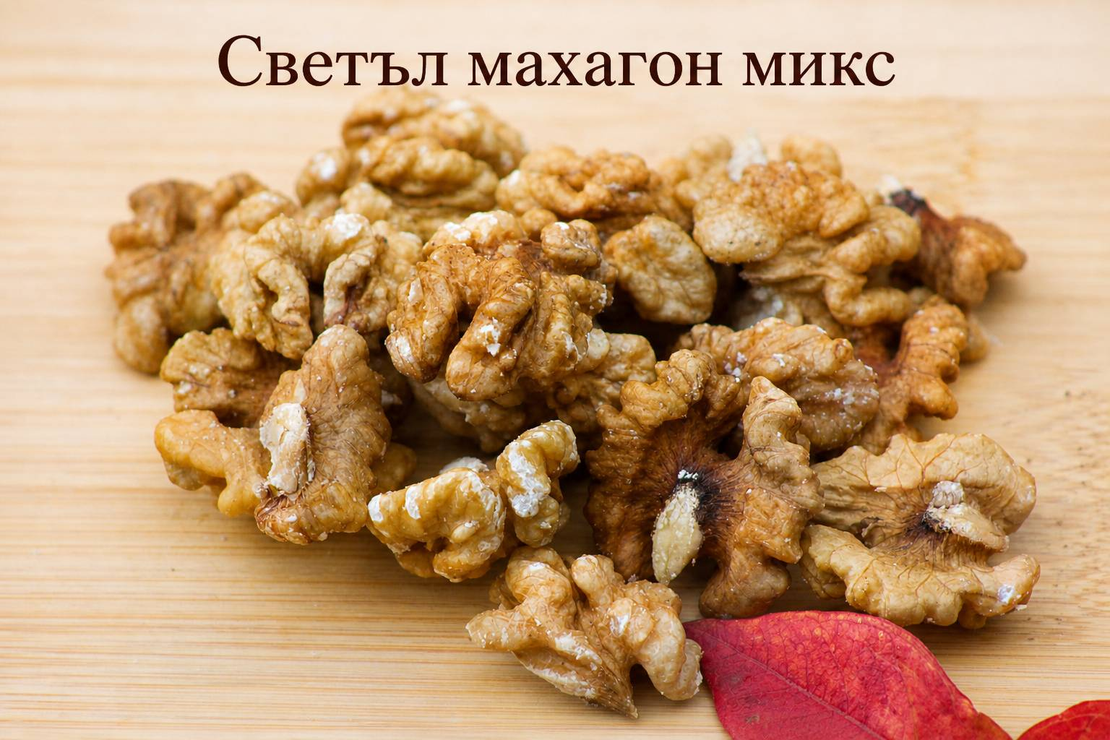 Орехова ядка – Светъл махагон