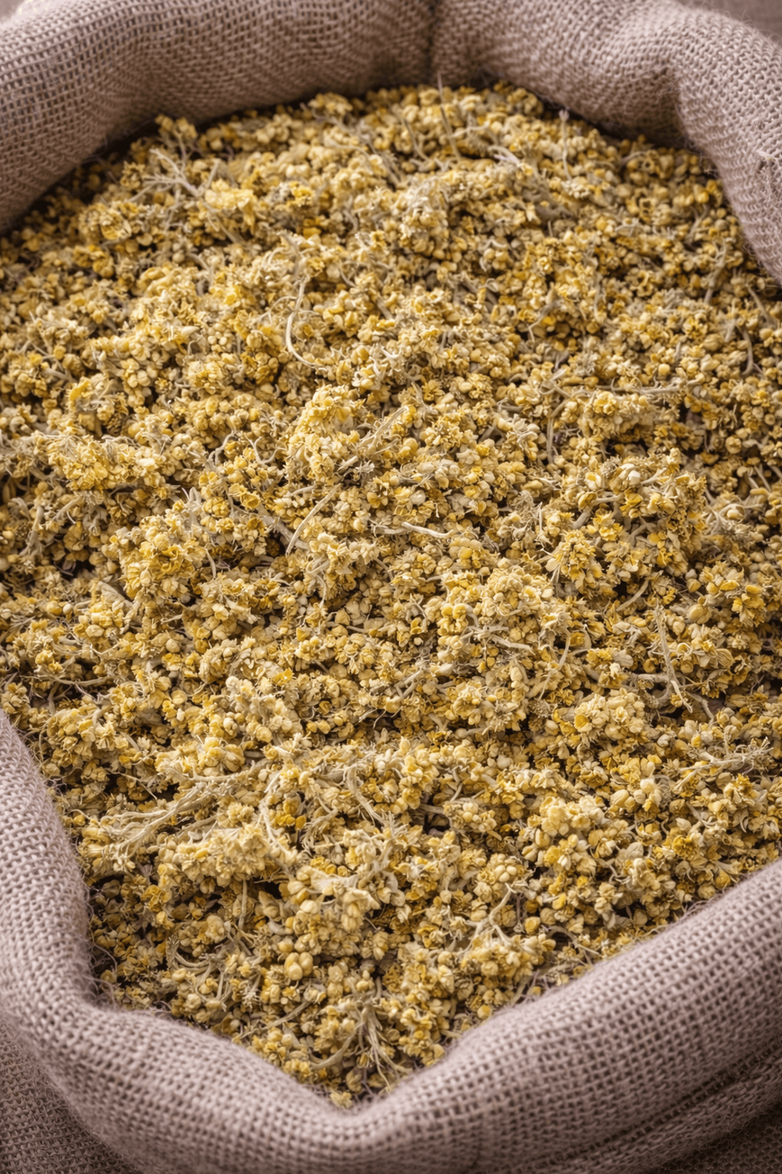 Жълт смил – цвят