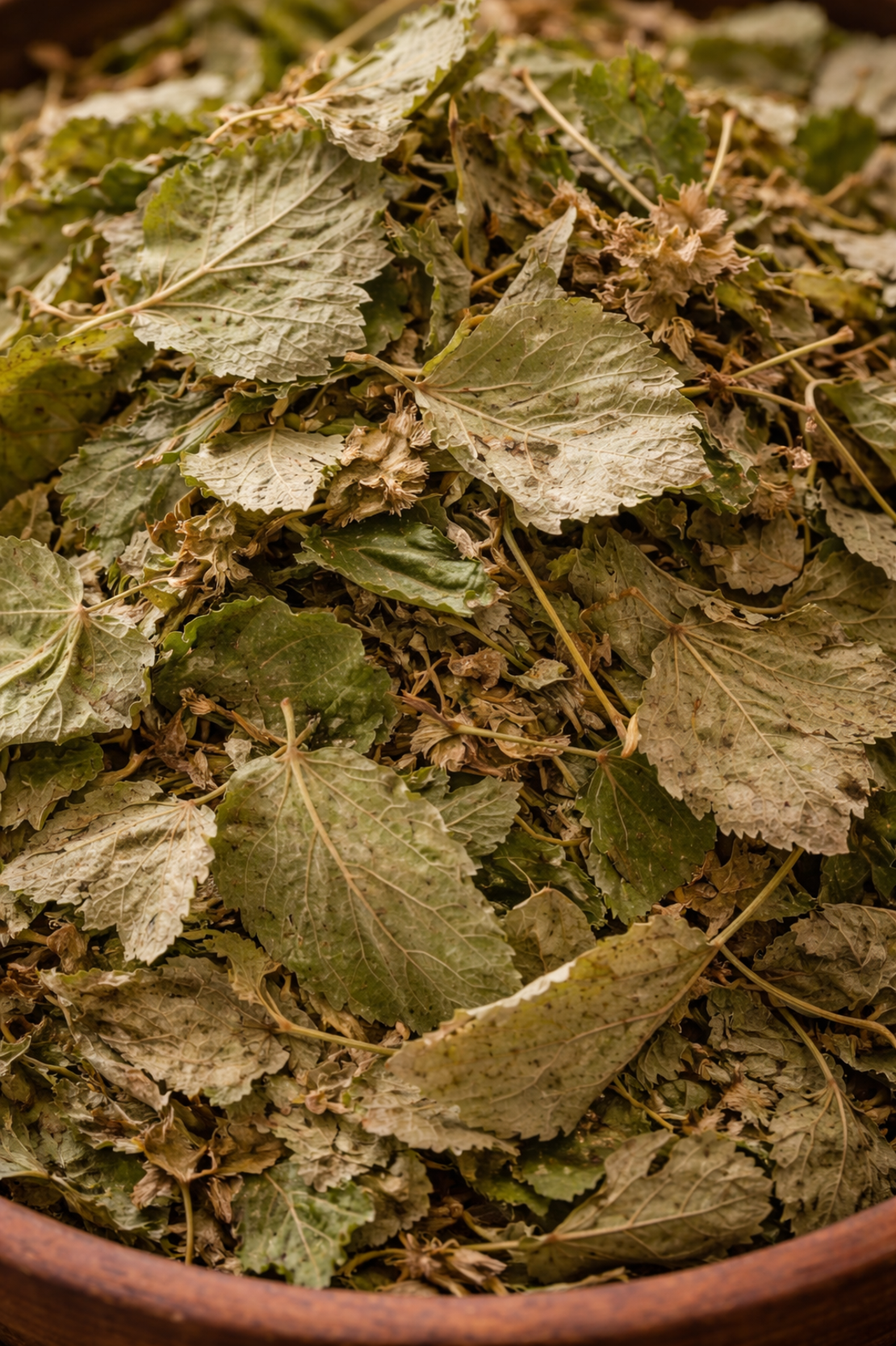 Лист липа (Tilia cordata) – сушен