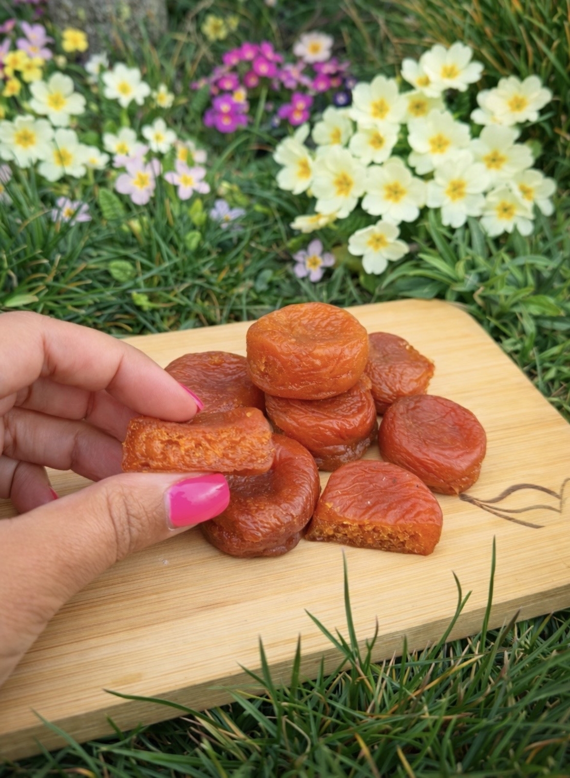 Dried Apricots – Extra Quality