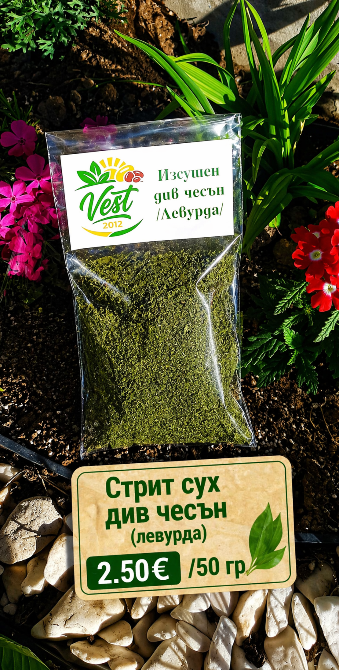 Стрит сух див чесън (левурда)