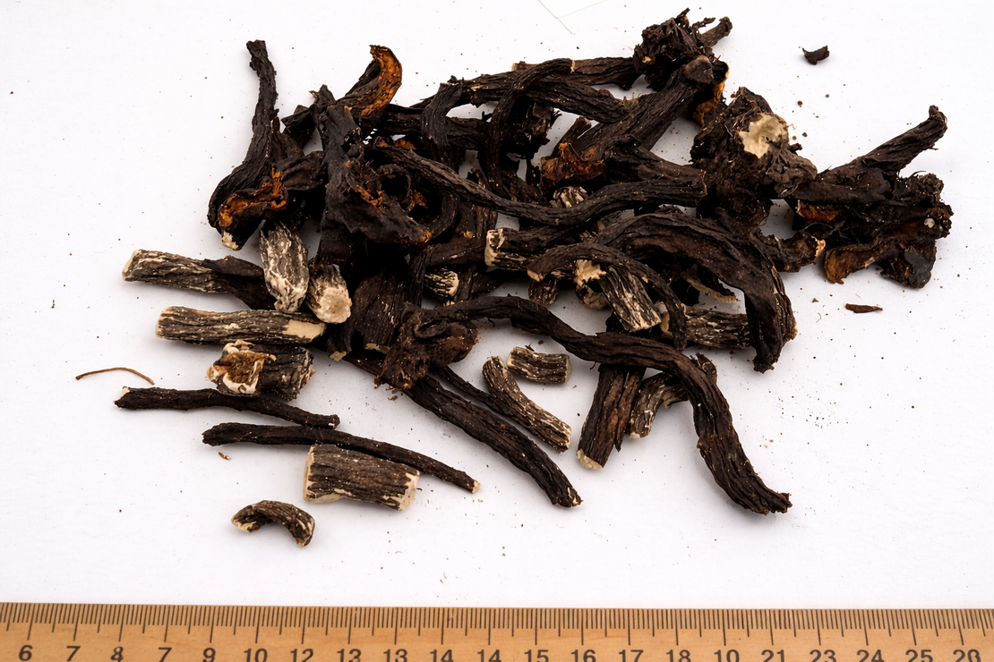 Comfrey Root – Dried (Symphytum officinale)