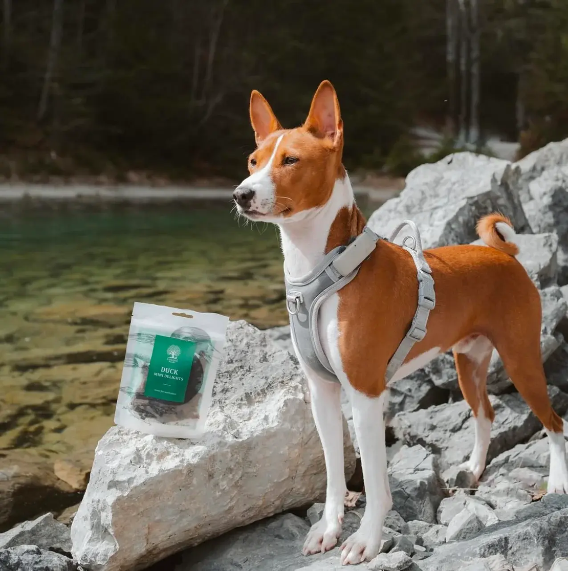 ESSENTIAL DUCK MINI DELIGHTS - деликатесни малки лакомства за кучета с патешко месо, 100г