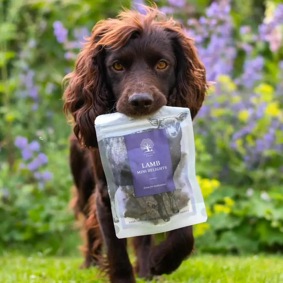 ESSENTIAL LAMB MINI DELIGHTS - деликатесни малки лакомства за кучета с агнешко месо, 100г