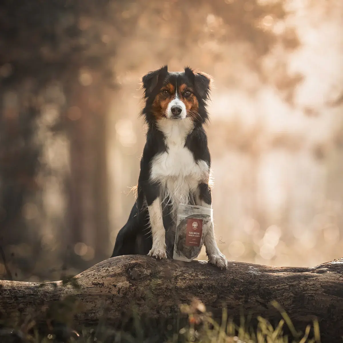 ESSENTIAL SALMON MINI DELIGHTS - деликатесни малки лакомства за кучета със сьомга, 100г